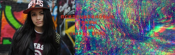 mix Надым