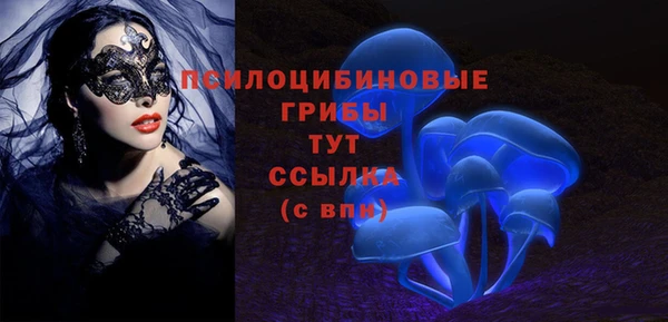 Альфа ПВП Нефтекумск