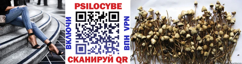 Псилоцибиновые грибы мухоморы  Кизляр 