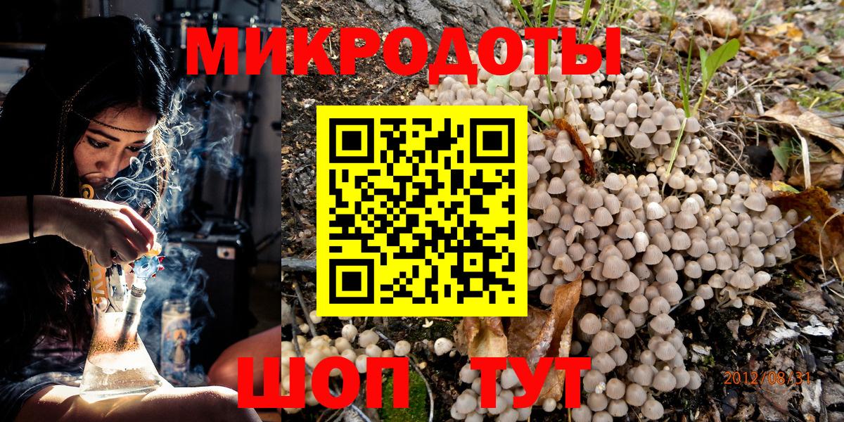 Галлюциногенные грибы прущие грибы  Кизляр  Псилоцибиновые грибы GOLDEN TEACHER 